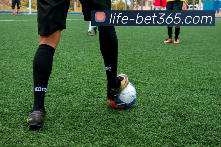 Bet365官网APP 封面图